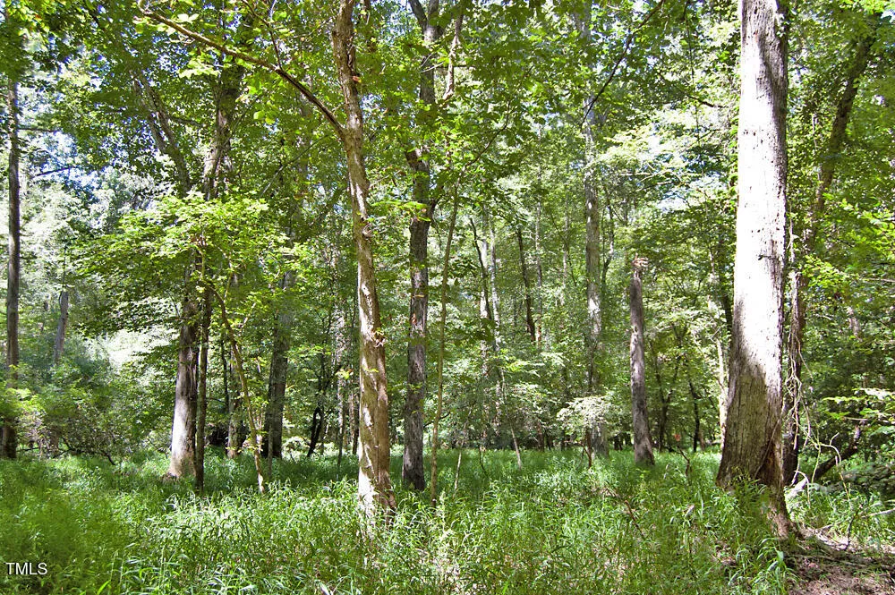 0 Nc Highway 33 Tarboro, NC 27886