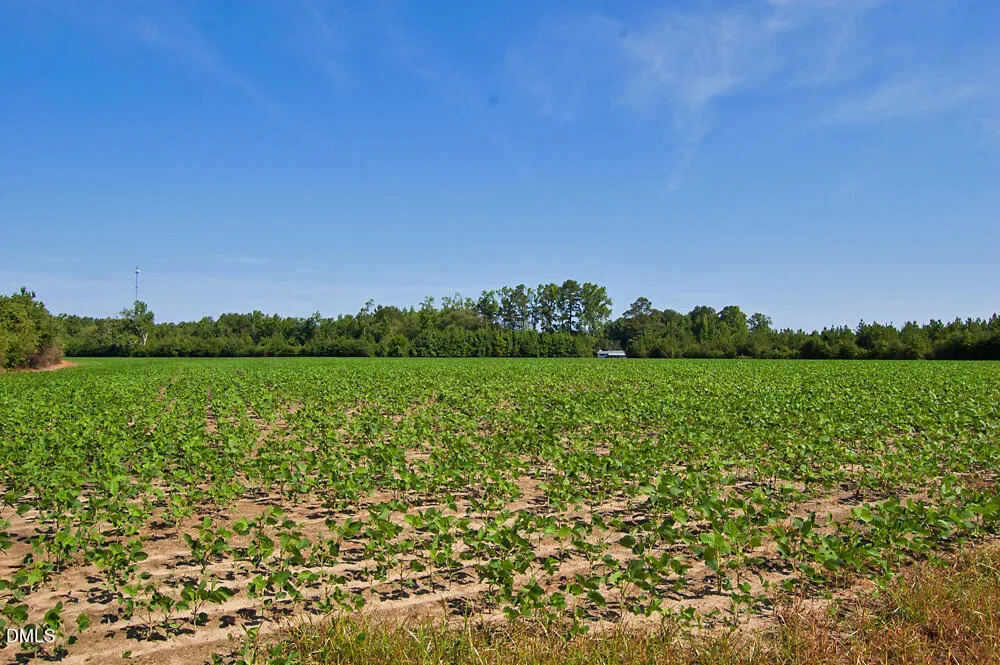 0 Nc Highway 33 Tarboro, NC 27886