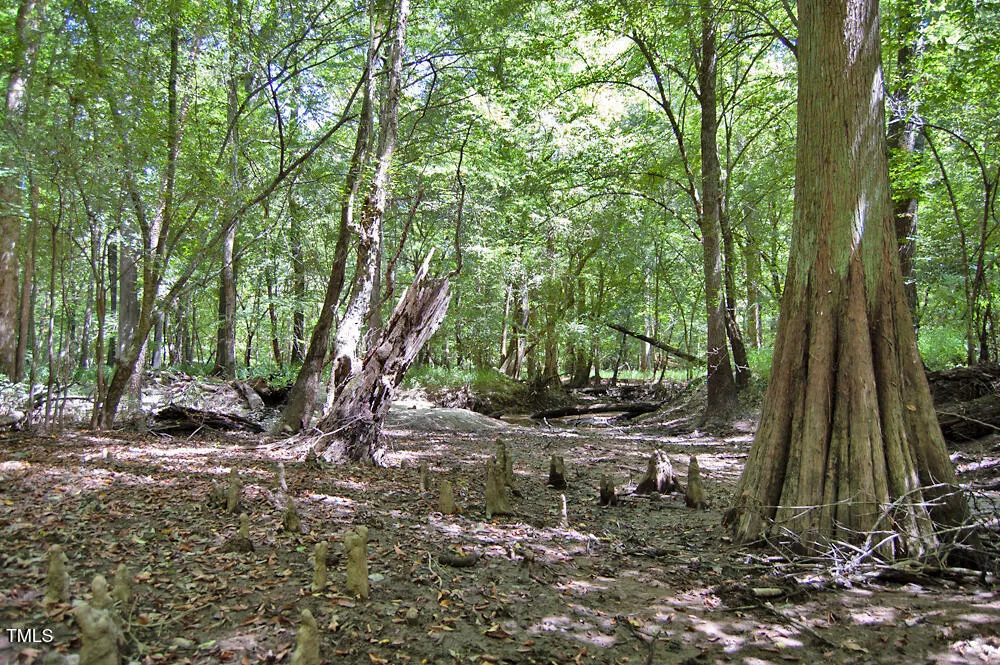 0 Nc Highway 33 Tarboro, NC 27886