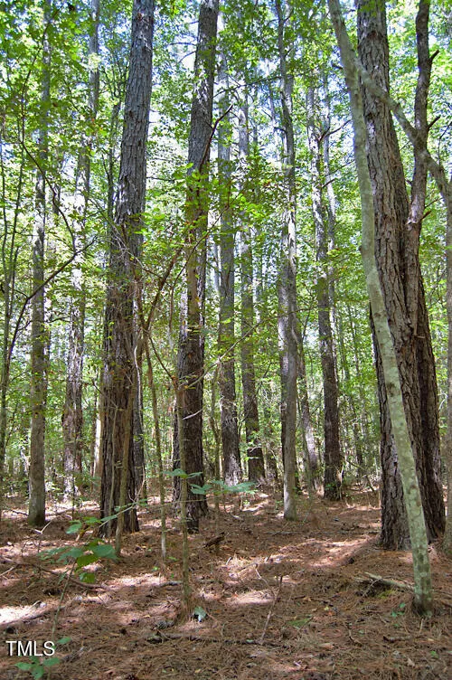 0 Nc Highway 33 Tarboro, NC 27886