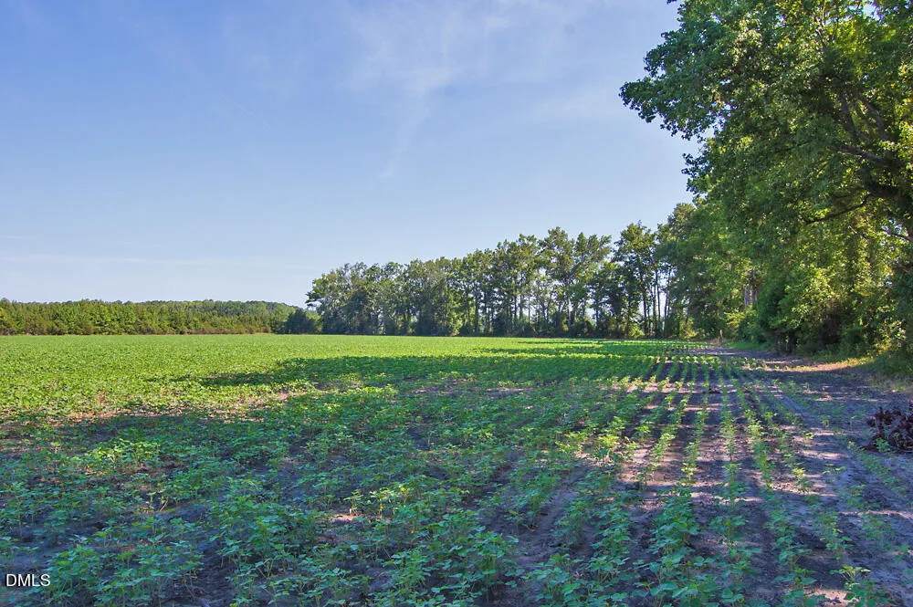 0 Nc Highway 33 Tarboro, NC 27886