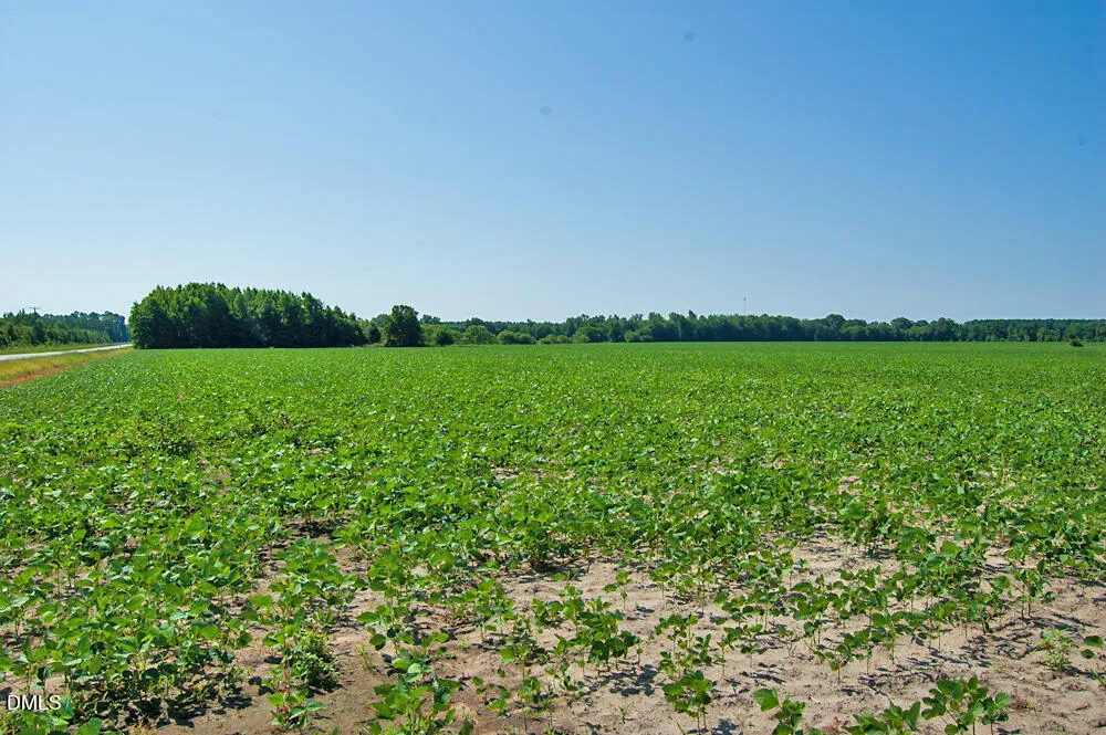 0 Nc Highway 33 Tarboro, NC 27886