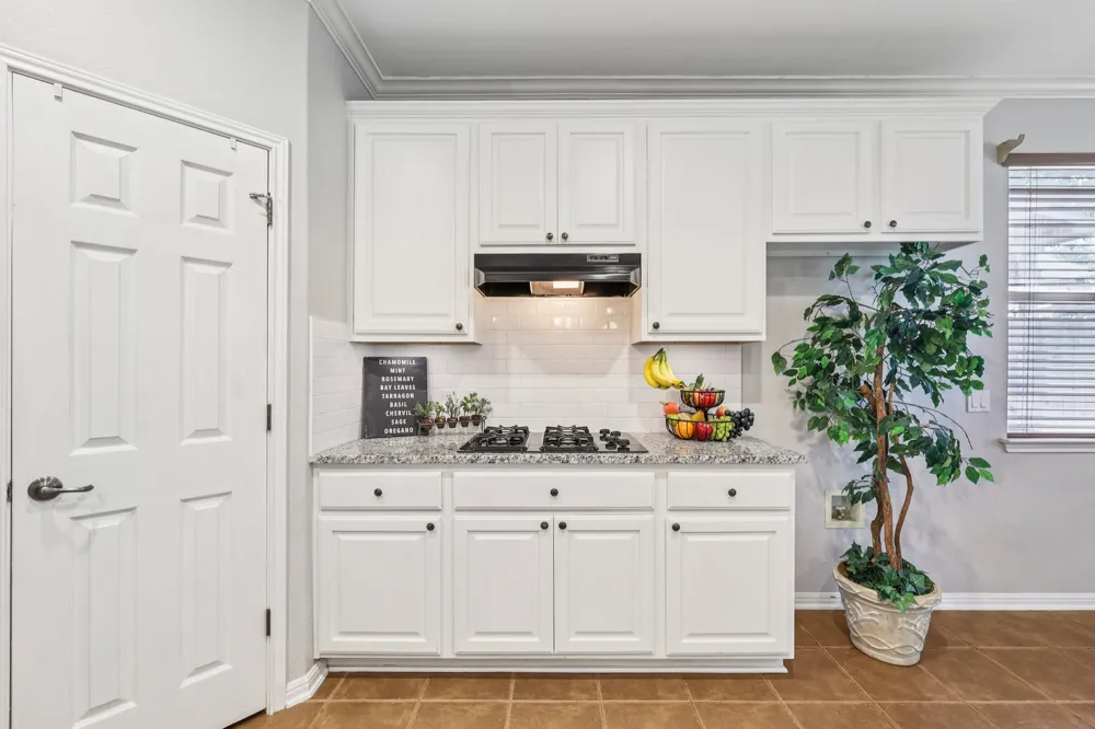 3804 Spyglass Cove Round Rock, TX 78664