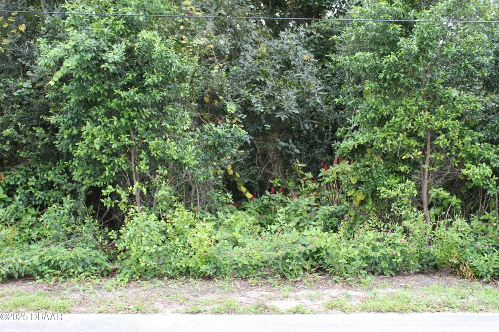 510 Fred Gamble Way Ormond Beach, FL 32174