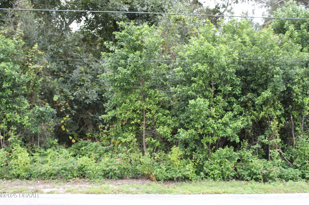 510 Fred Gamble Way Ormond Beach, FL 32174