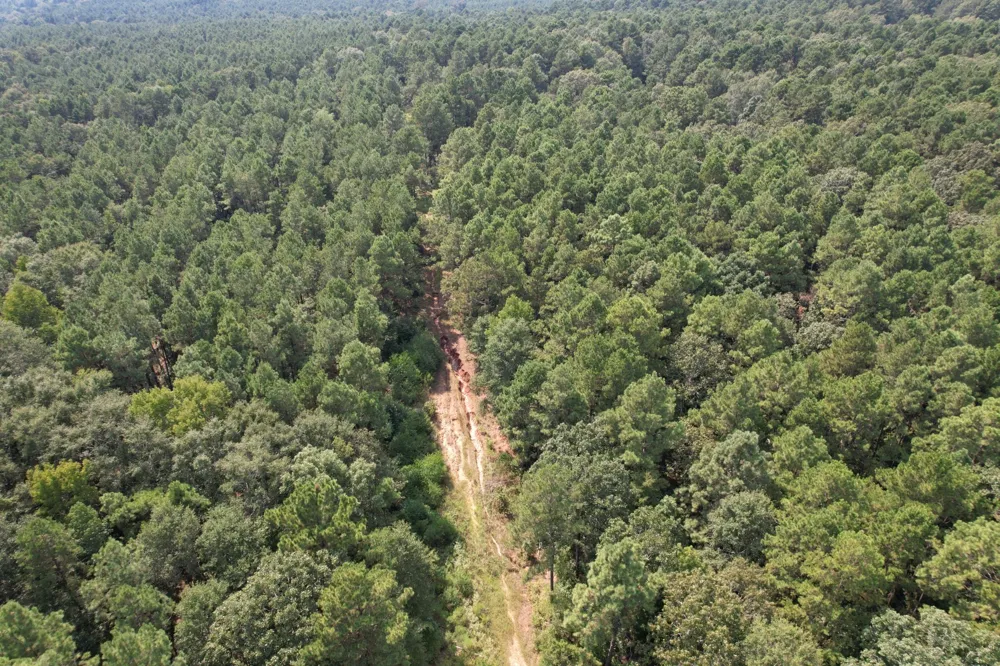County Road 283 Garrison, TX 75946