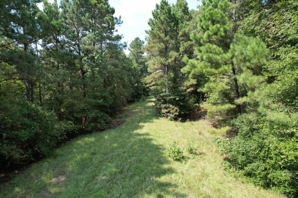 County Road 283 Garrison, TX 75946
