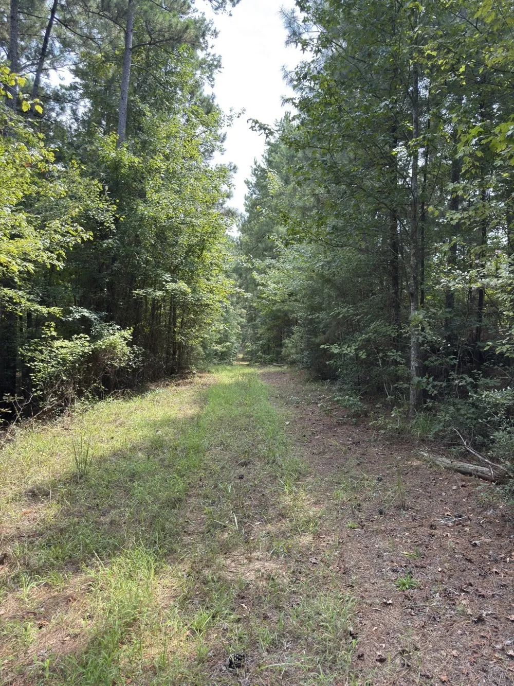 County Road 283 Garrison, TX 75946
