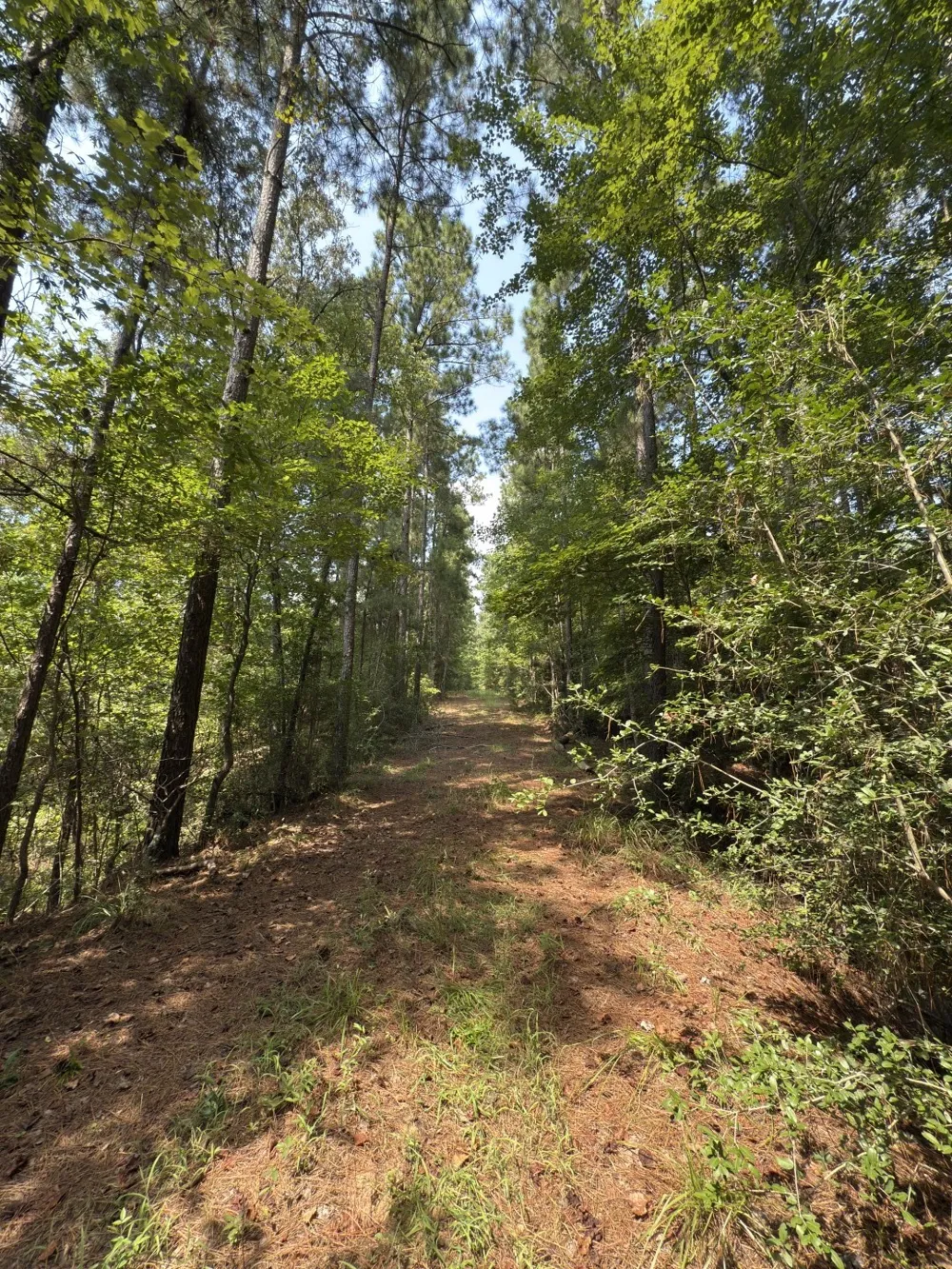 County Road 283 Garrison, TX 75946