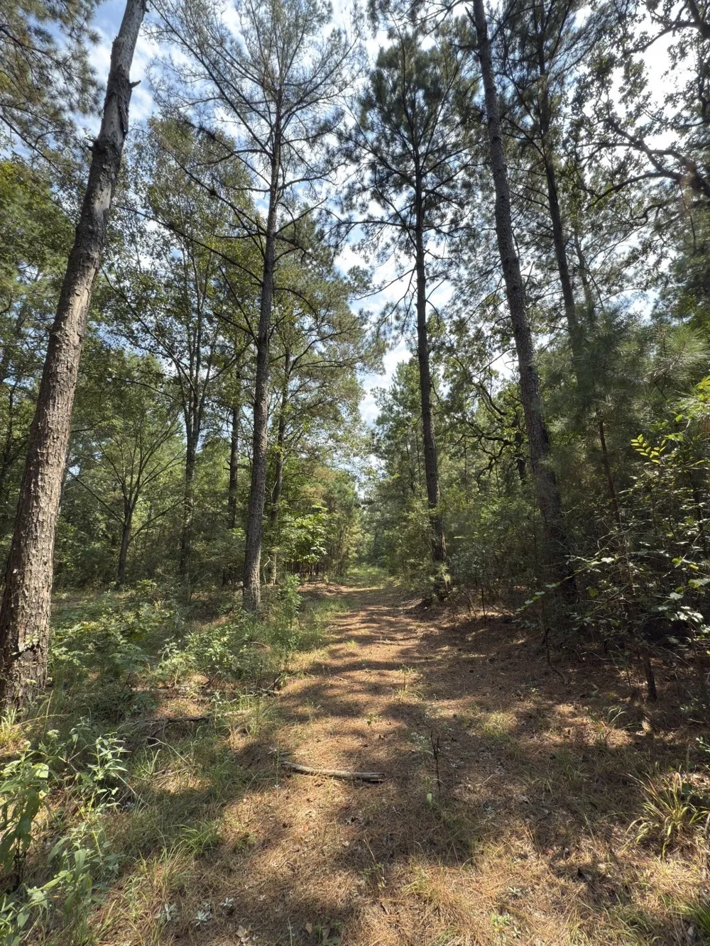 County Road 283 Garrison, TX 75946