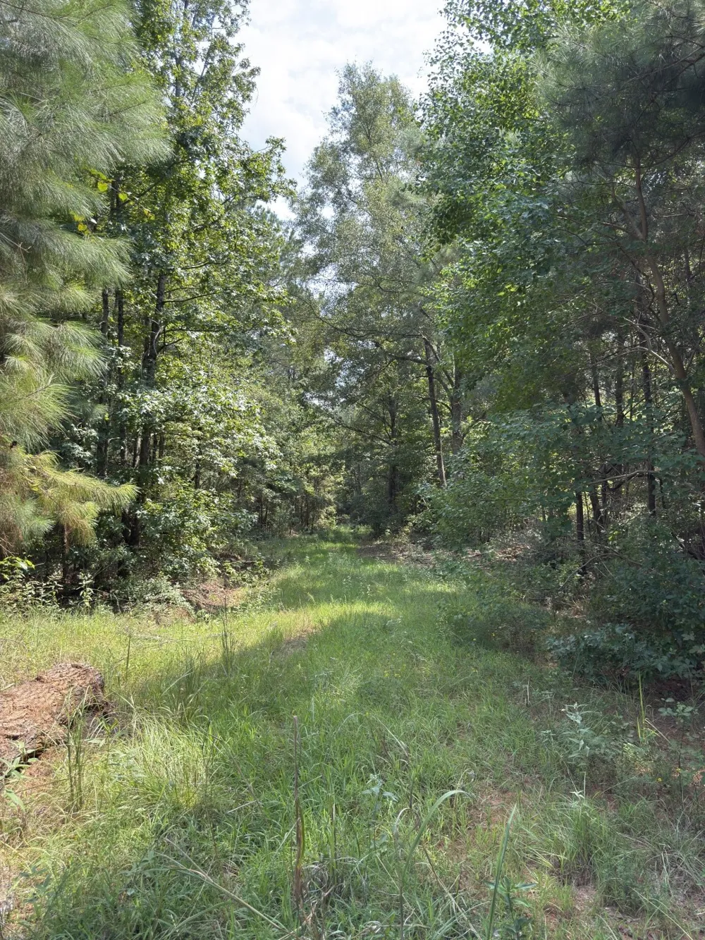 County Road 283 Garrison, TX 75946