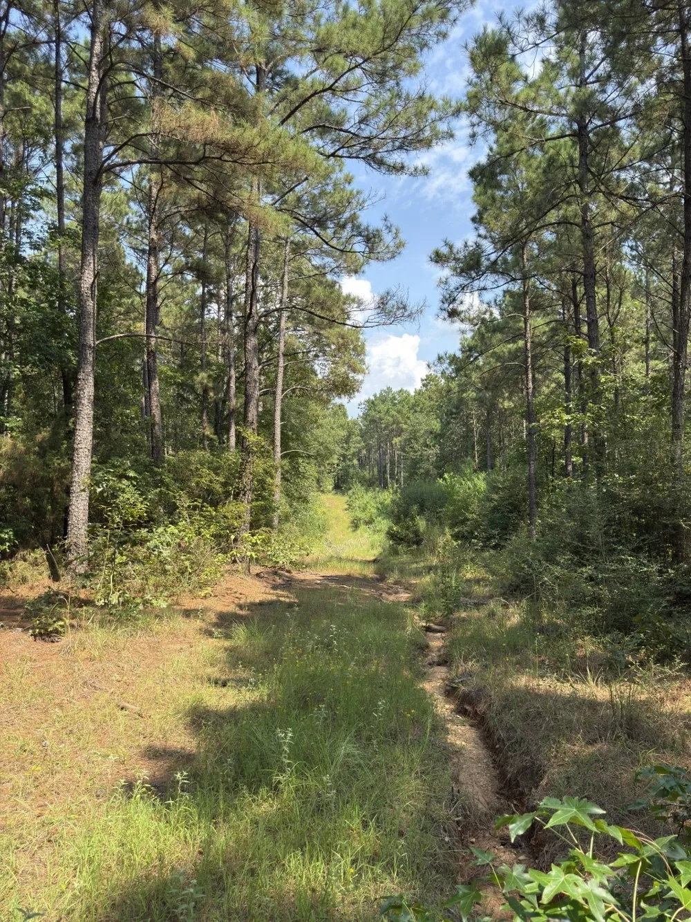 County Road 283 Garrison, TX 75946