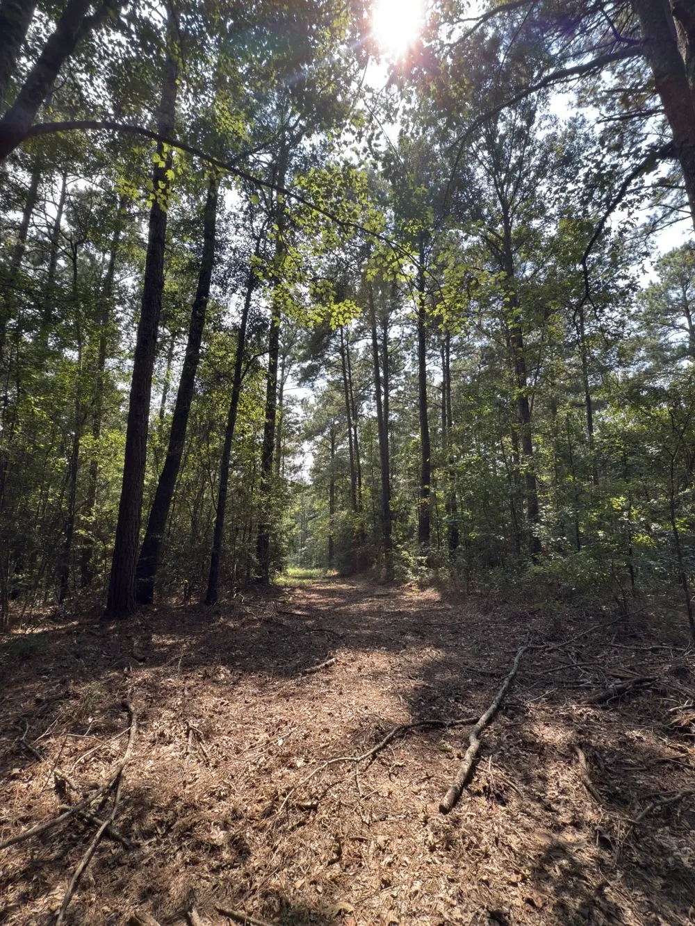 County Road 283 Garrison, TX 75946