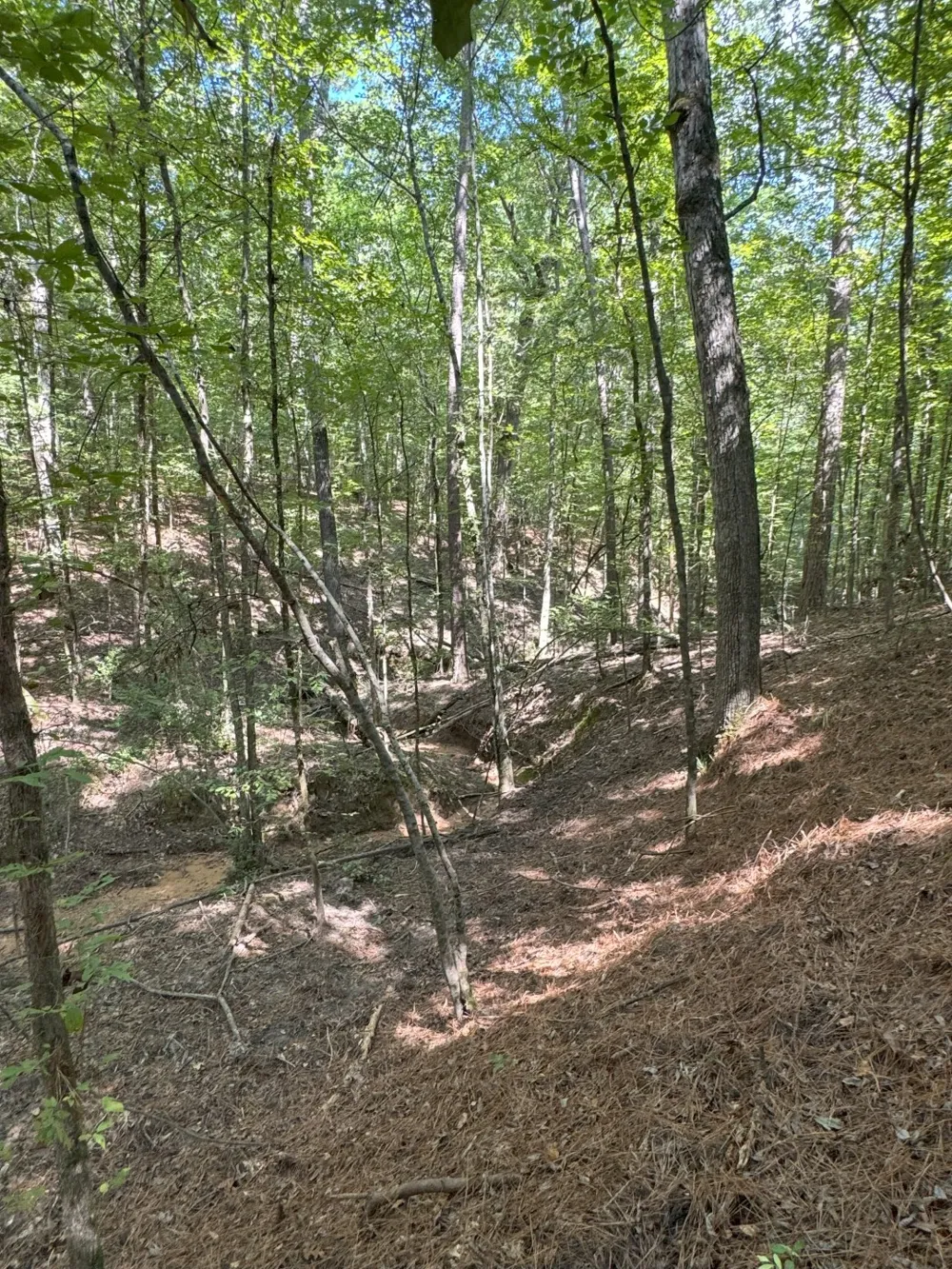 County Road 283 Garrison, TX 75946