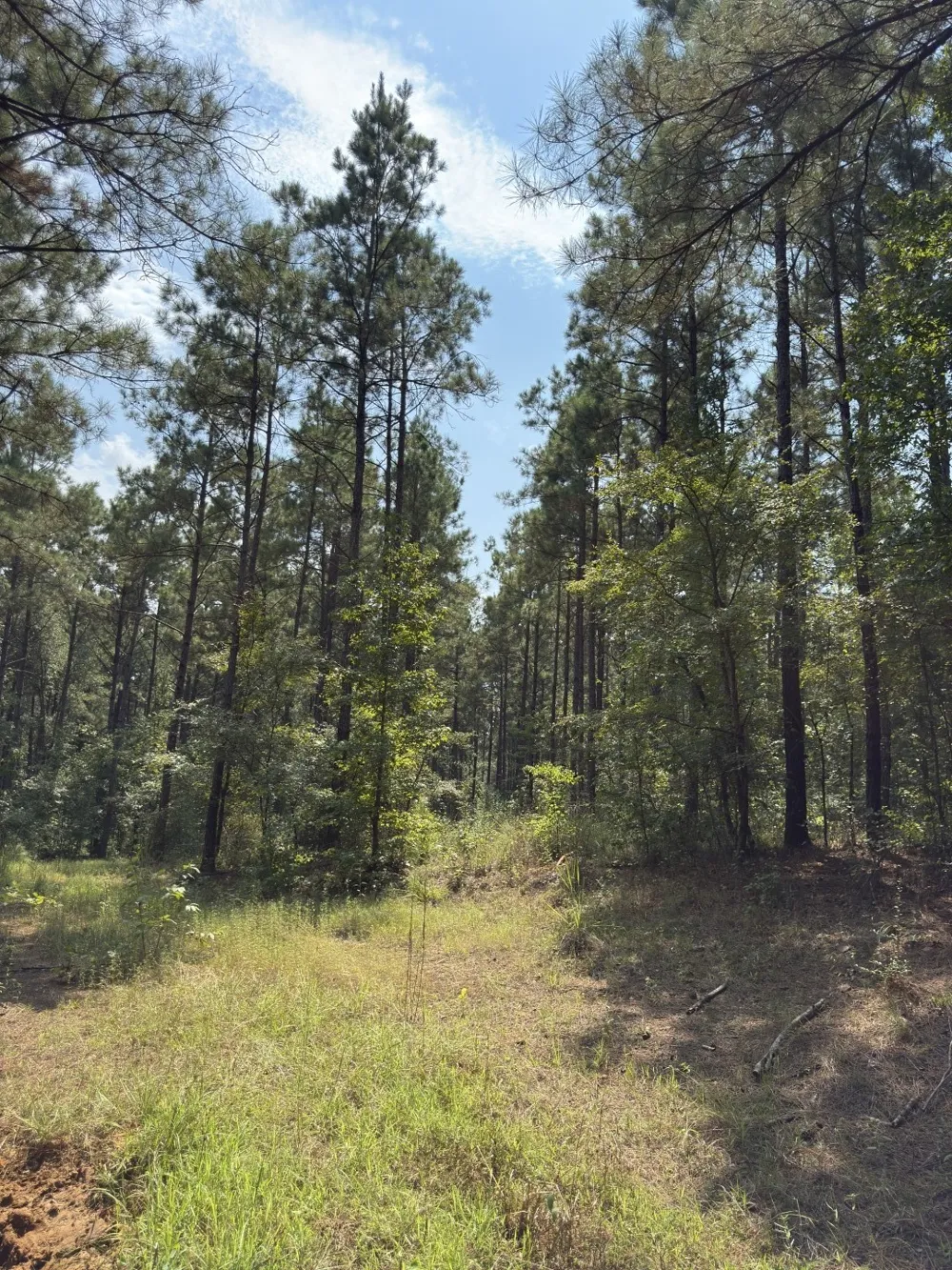 County Road 283 Garrison, TX 75946