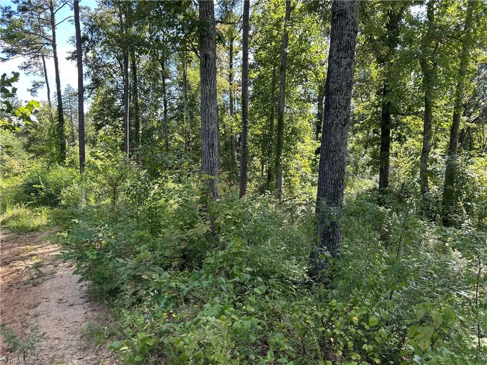 174 Eric Road Mocksville, NC 27028
