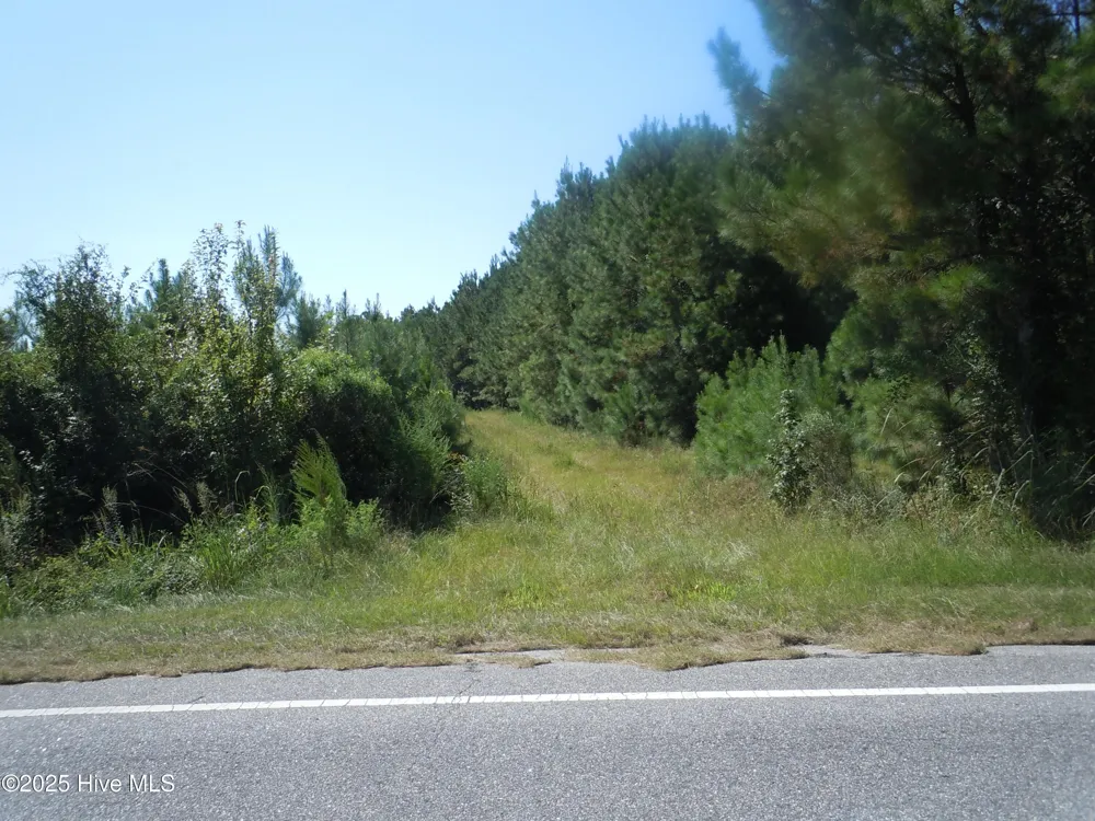Near 10547 Andrew Jackson Highway SW Fair Bluff, NC 28439