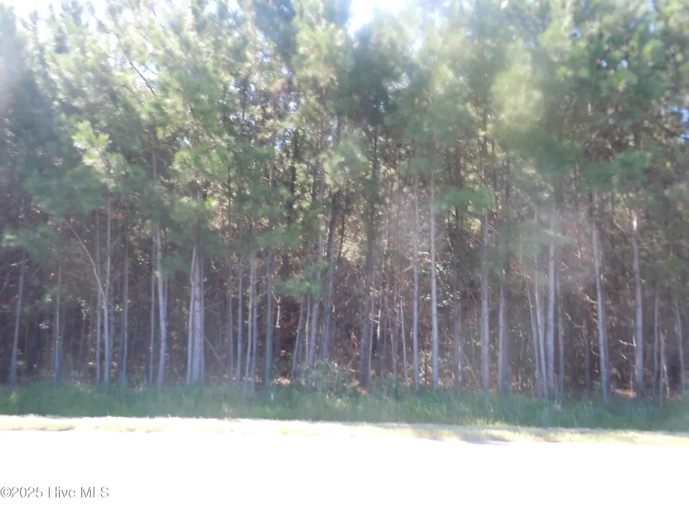 Near 10547 Andrew Jackson Highway SW Fair Bluff, NC 28439