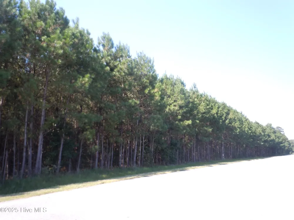 Near 10547 Andrew Jackson Highway SW Fair Bluff, NC 28439