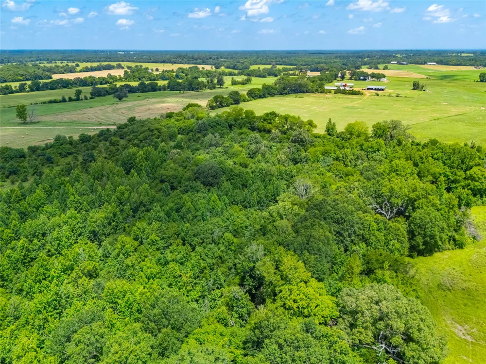 County Road 3311 Omaha, TX 75571