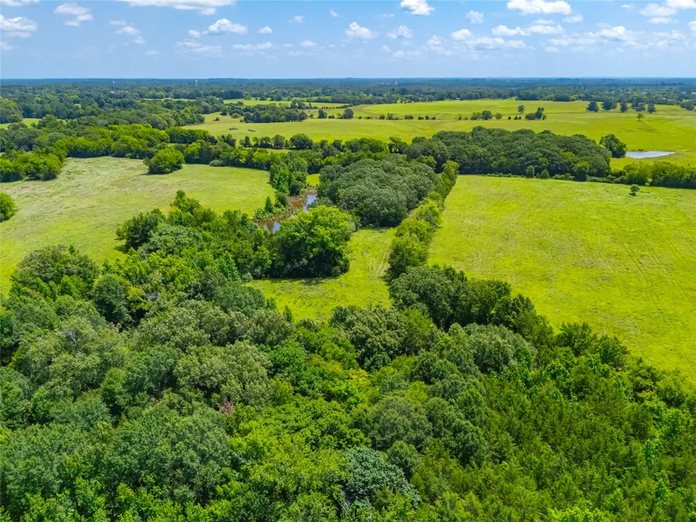 County Road 3311 Omaha, TX 75571