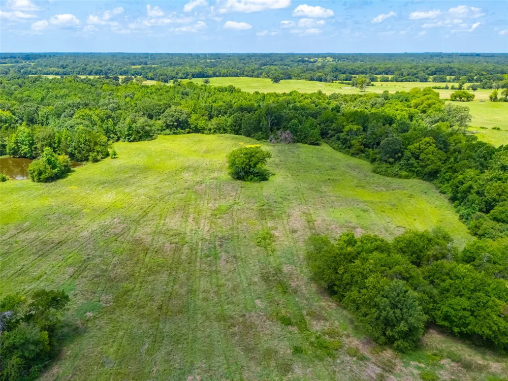 County Road 3311 Omaha, TX 75571