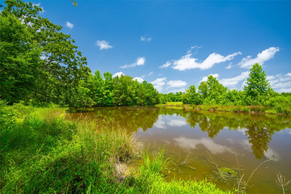 County Road 3311 Omaha, TX 75571