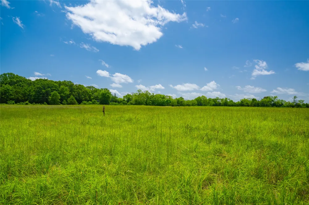 County Road 3311 Omaha, TX 75571