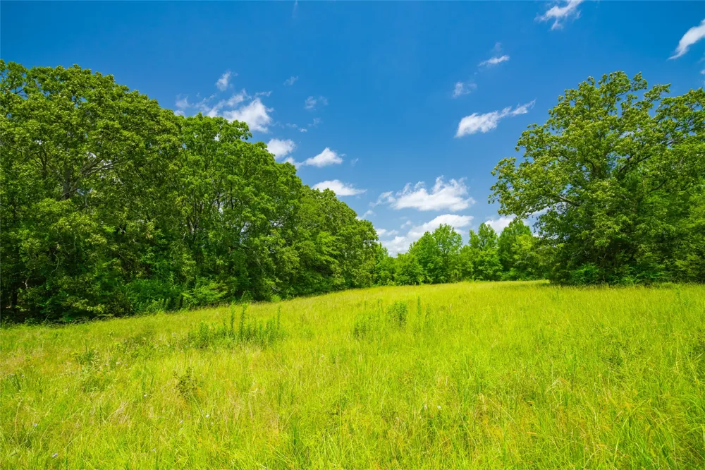 County Road 3311 Omaha, TX 75571