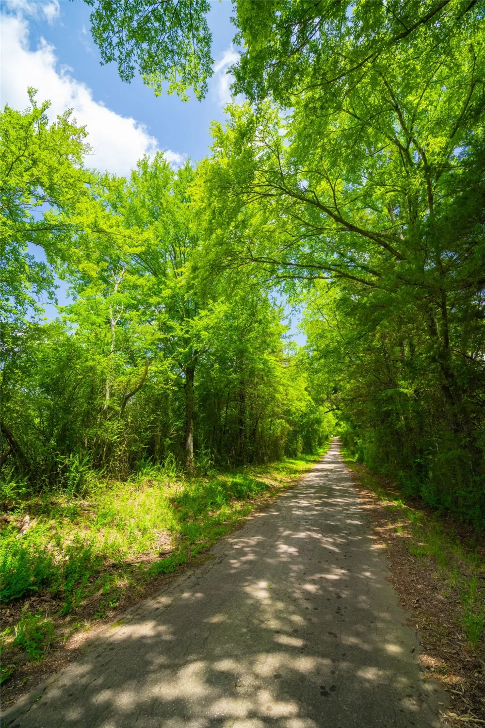 County Road 3311 Omaha, TX 75571