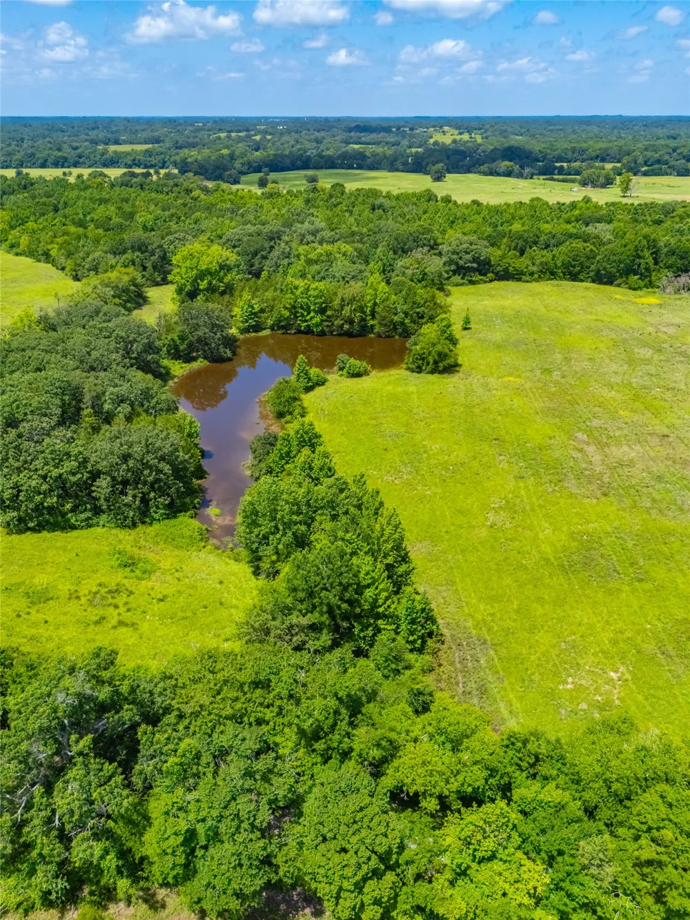 County Road 3311 Omaha, TX 75571