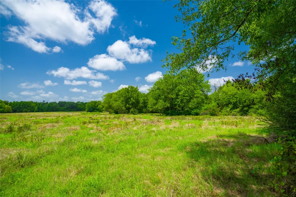 County Road 3311 Omaha, TX 75571