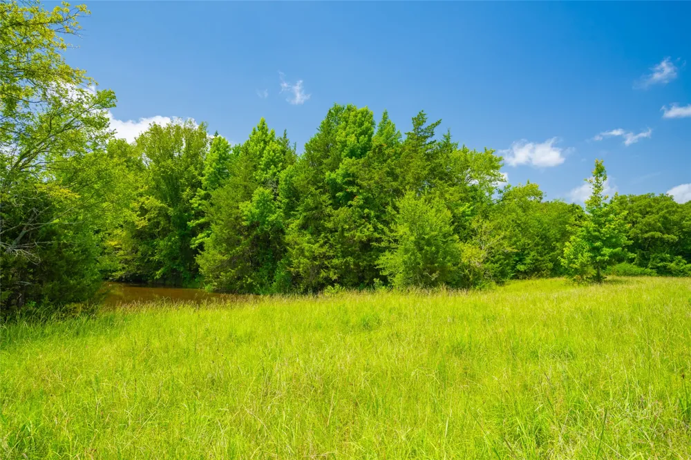 County Road 3311 Omaha, TX 75571