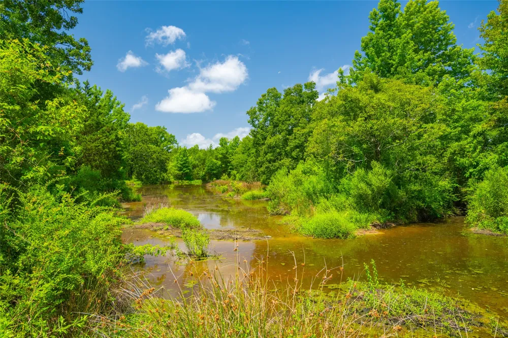 County Road 3311 Omaha, TX 75571