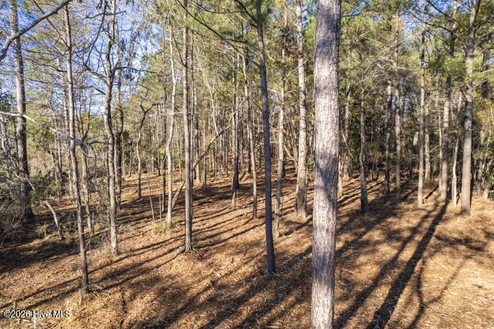 0 Smith Creek Road Vandemere, NC 28587