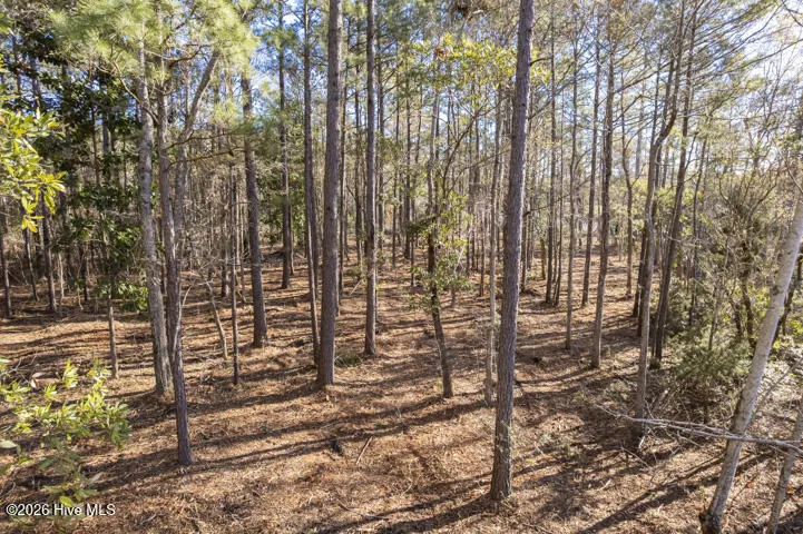 0 Smith Creek Road Vandemere, NC 28587