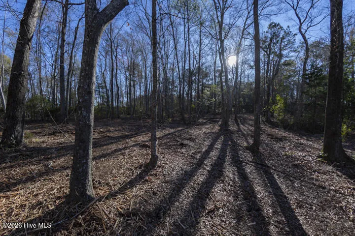 0 Smith Creek Road Vandemere, NC 28587