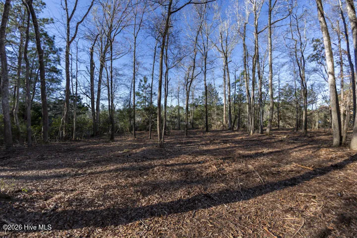 0 Smith Creek Road Vandemere, NC 28587