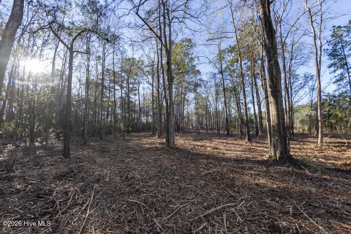 0 Smith Creek Road Vandemere, NC 28587