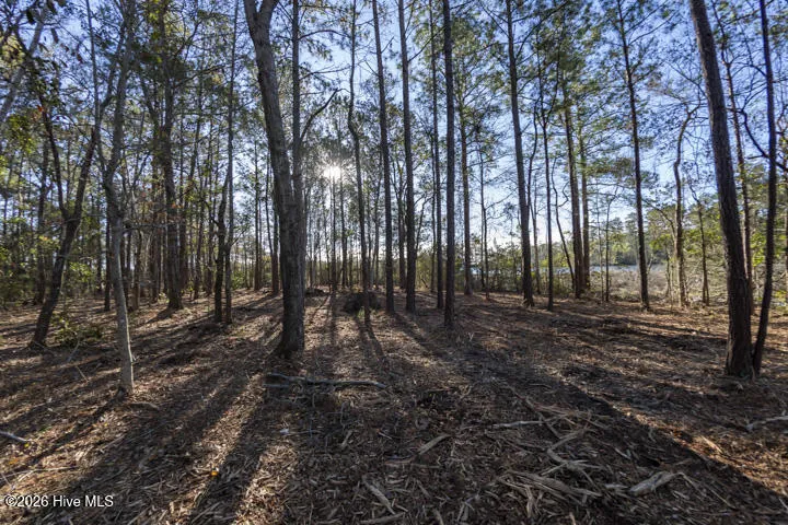 0 Smith Creek Road Vandemere, NC 28587