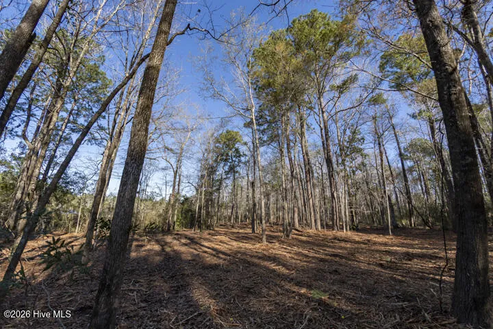 0 Smith Creek Road Vandemere, NC 28587