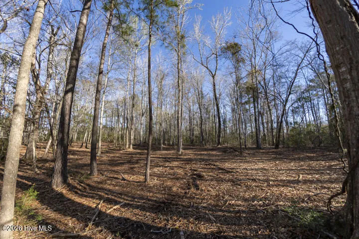 0 Smith Creek Road Vandemere, NC 28587