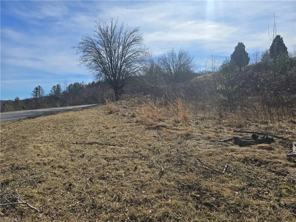 Lot #46 New River Landing Crumpler, NC 28617