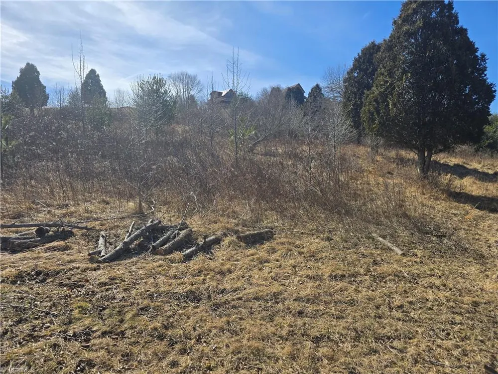 Lot #46 New River Landing Crumpler, NC 28617