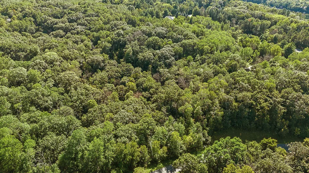 TBD DeLong Road Somerset, WI 54025