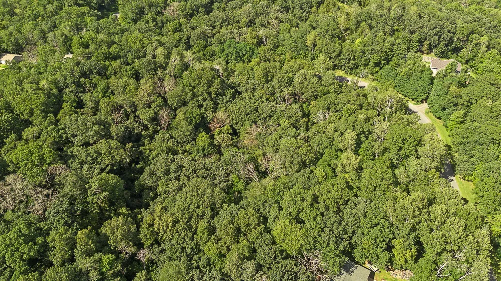 TBD DeLong Road Somerset, WI 54025