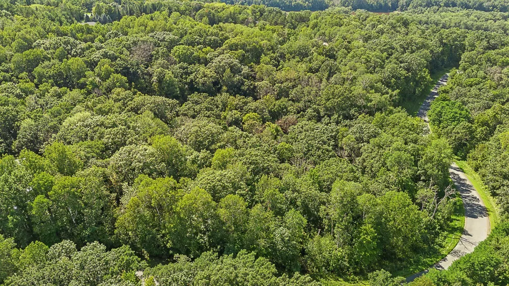 TBD DeLong Road Somerset, WI 54025