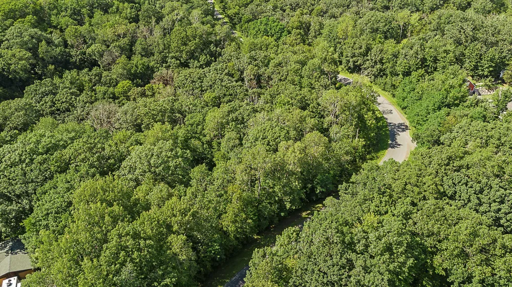 TBD DeLong Road Somerset, WI 54025