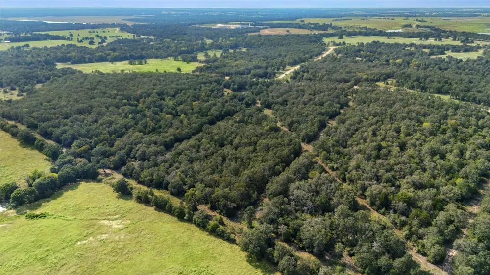 29 Walleye Creek Trail Lexington, TX 78947