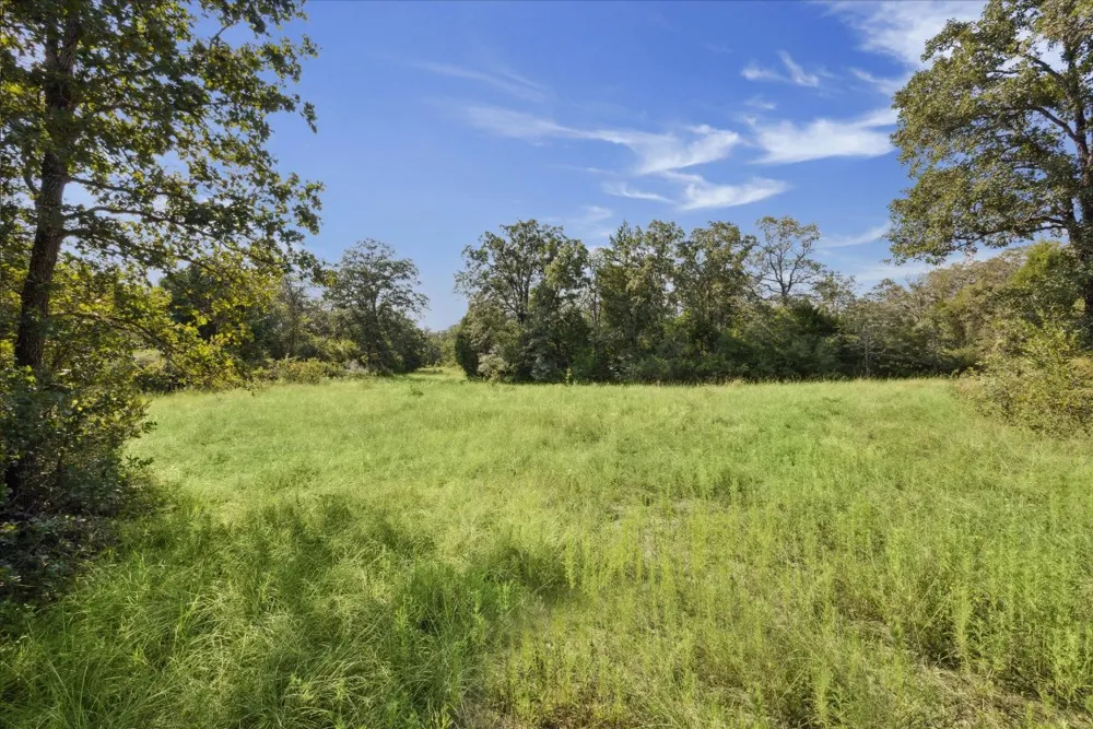29 Walleye Creek Trail Lexington, TX 78947